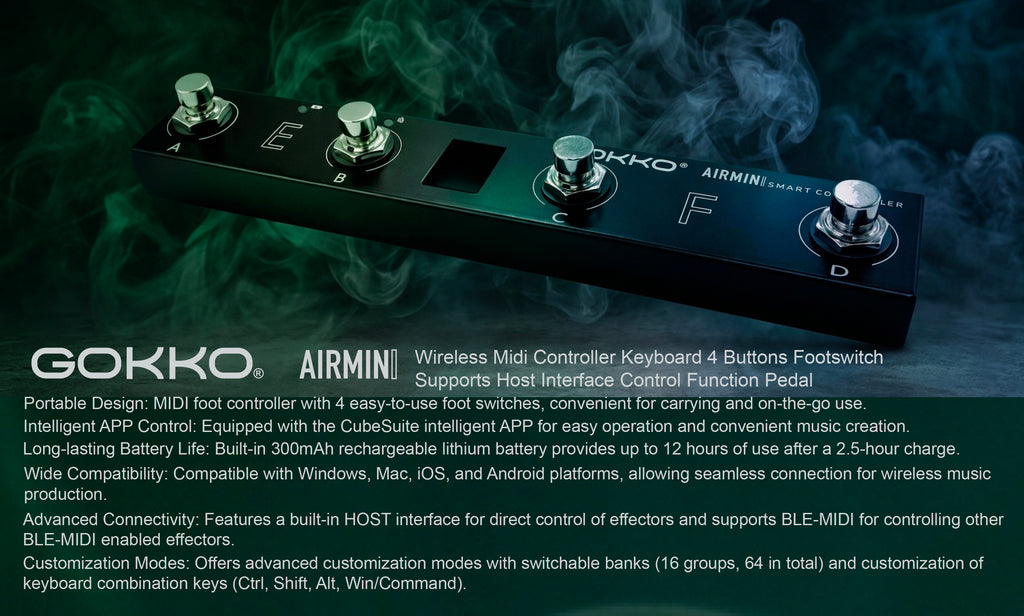 GAM-10 Airmini